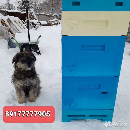 Ульи ппу,Пенополиуретан