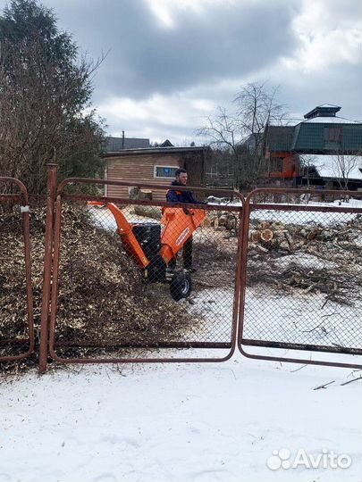 Спил деревьев. Дерево спилить. Срубить дерево