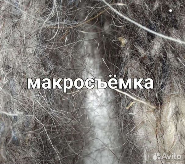 Носки из собачьей шерсти