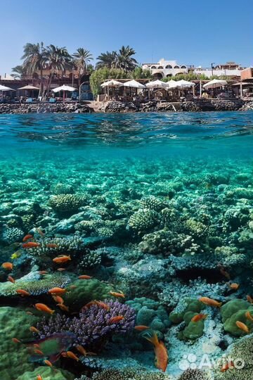 Горящий тур в Шарм-Эль-Шейх из Екатеринбурга