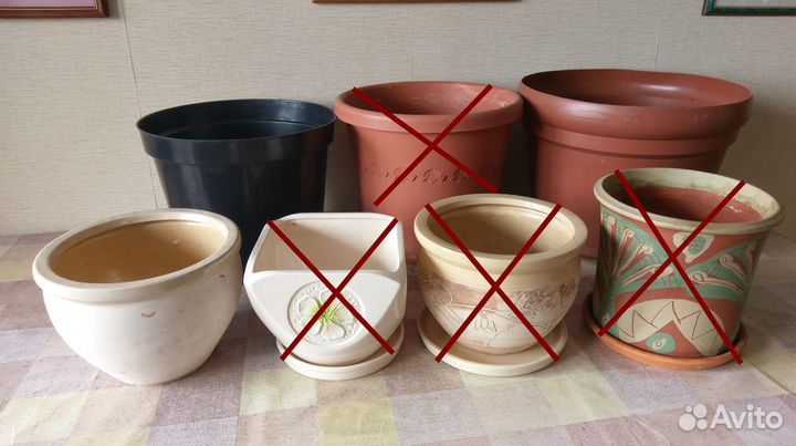 Большие горшки для растений: керамика/пластиковые