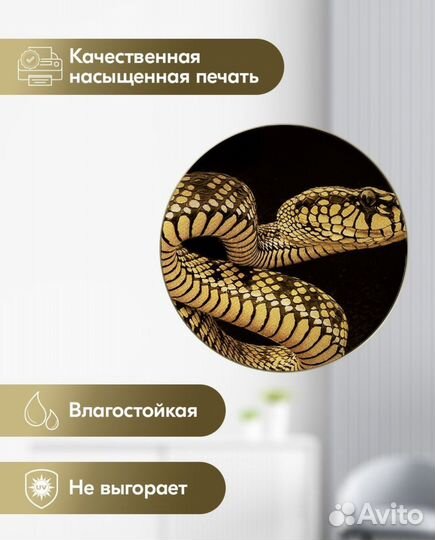 Картина на холсте, новая (50:50)