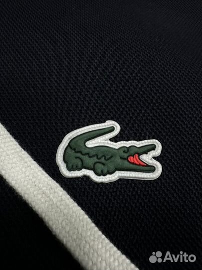 Спортивный костюм lacoste синий черный