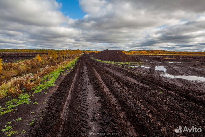 Торф от производителя