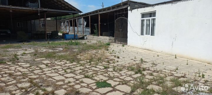 Животноводческая ферма
