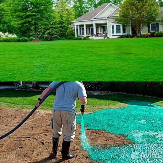 Гидропосев газона