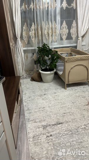 Китайская роза