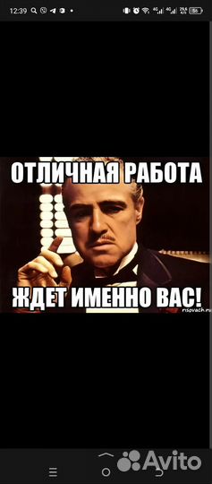 Промоутер почтальон работа