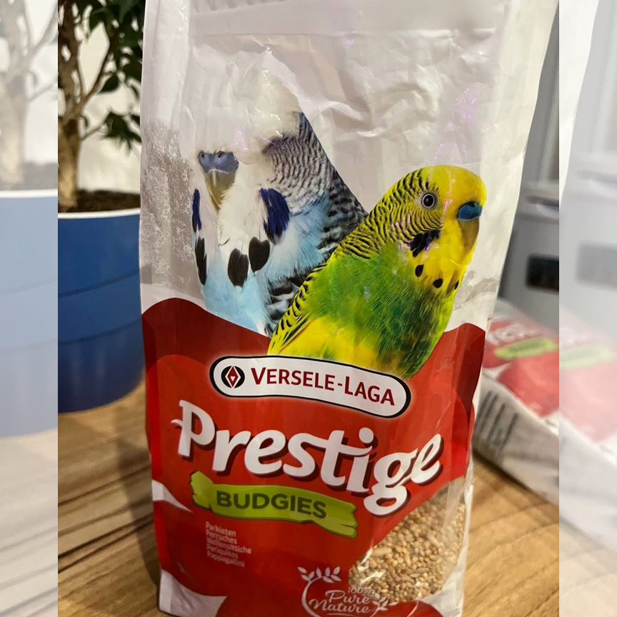 Корм для волнистых попугаев Prestige Budgies 1 кг