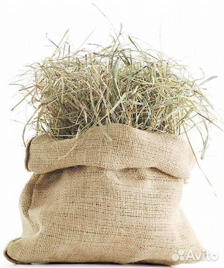 Зелёное сено для бани, травяной матрас
