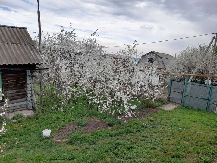 Участок 32 сот. (ИЖС)