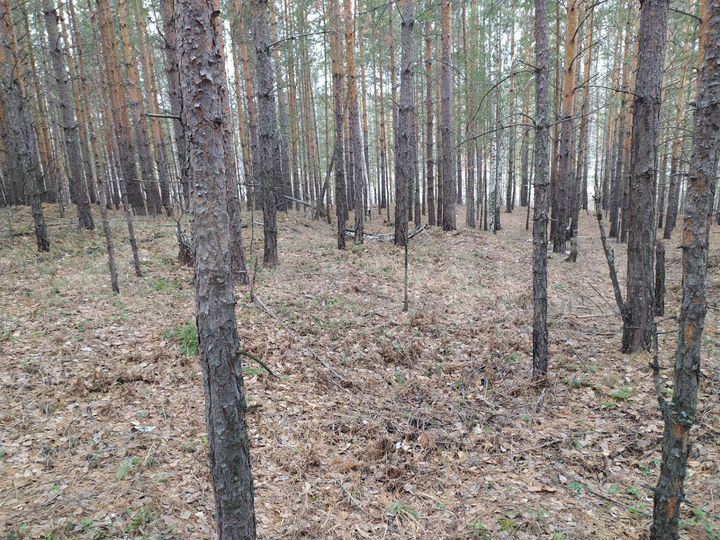 Участок 10 сот. (ИЖС)
