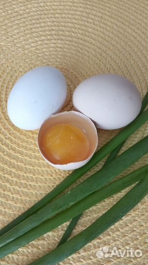 Яйца деревенские