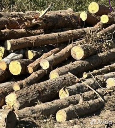 Дрова бесплатно