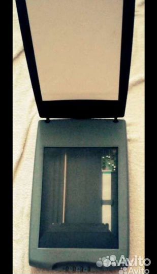 Сканер umax astra 4900. Рабочий