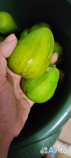 Варенье из инжира, сорт белый королевский