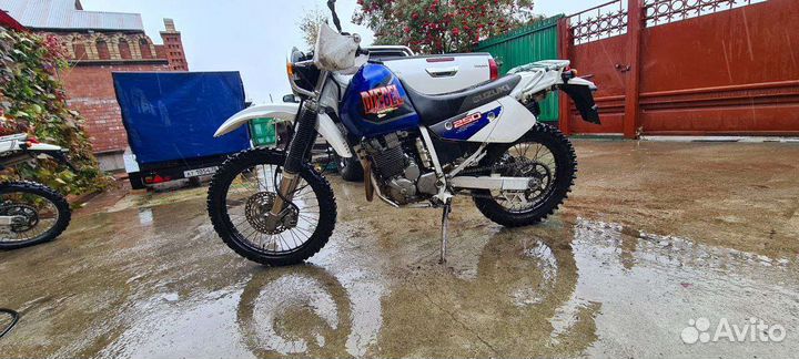 Suzuki djebel 250xc