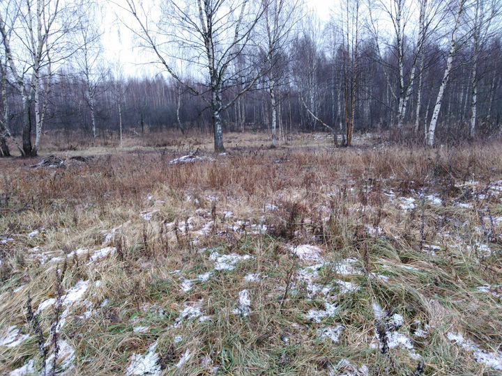 Участок 21 сот. (ИЖС)