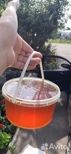 Мёд разнотравье, с живицей, прополисом