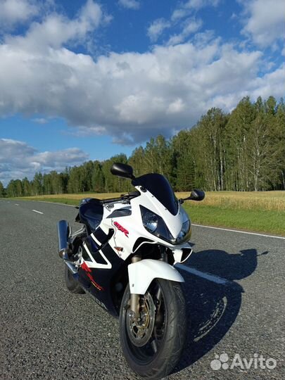 Honda CBR600 f4i sport