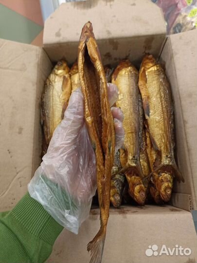 Сиг г/к, х/к, вяленый, с/м шт