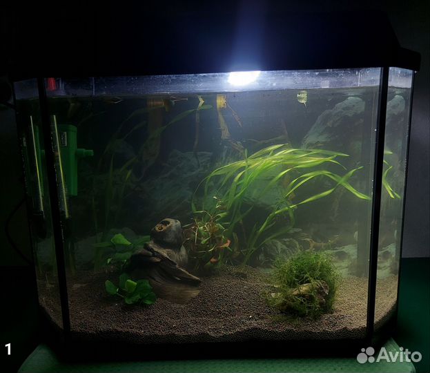 Готовый аквариум 30 л