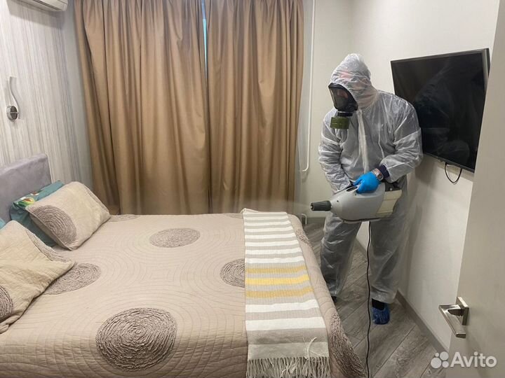 Обработка от клопов и тараканов. Дезинфекция