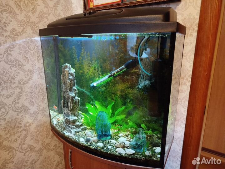 Аквариум с тумбой 80 литров
