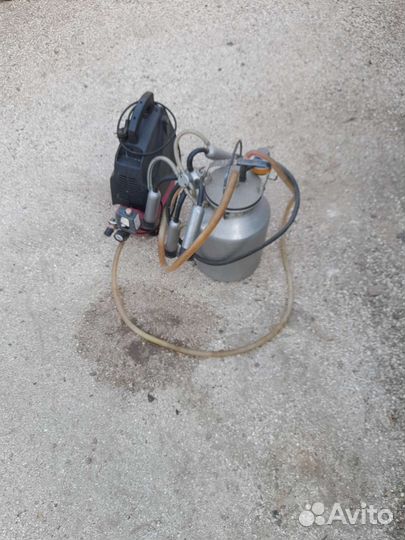 Доильный аппарат для коров бу