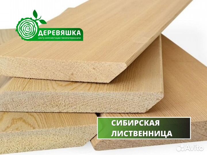 Планкен лиственница