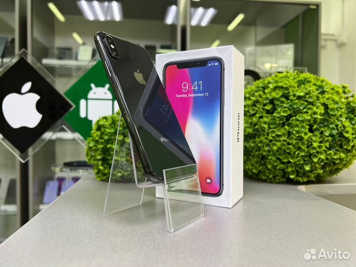 iPhone X, 256 ГБ