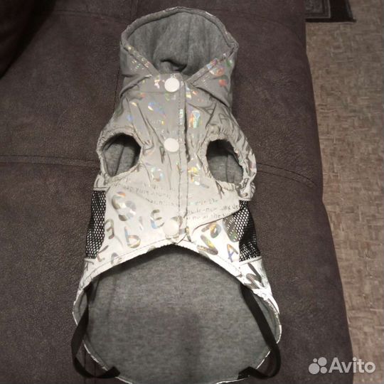 Одежда для собак мелких пород