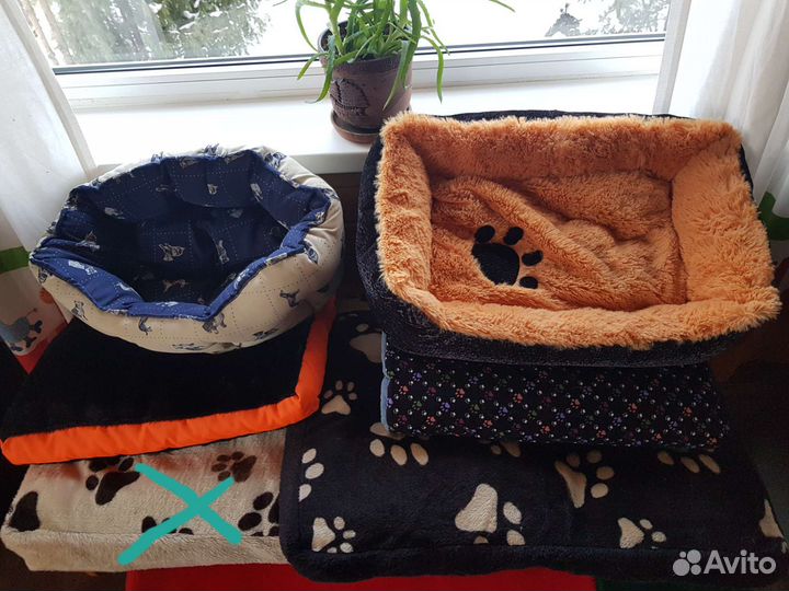 Амуниция для собак