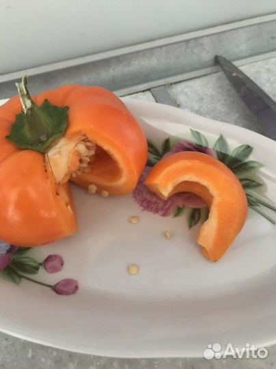 Семена сладкого перца