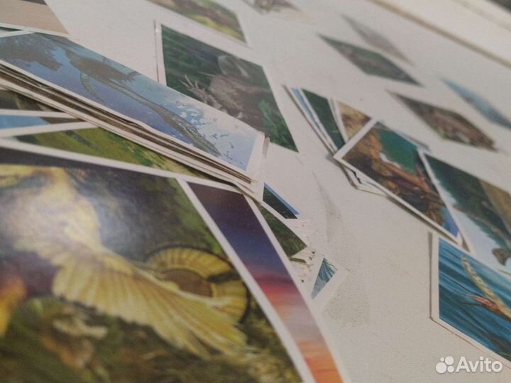 Наклейки: динозавры, стопка наклеек