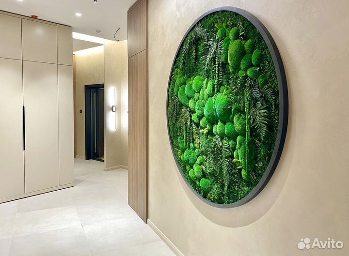 Мох. Озеленение. Фитостена. Декор. Живая стена