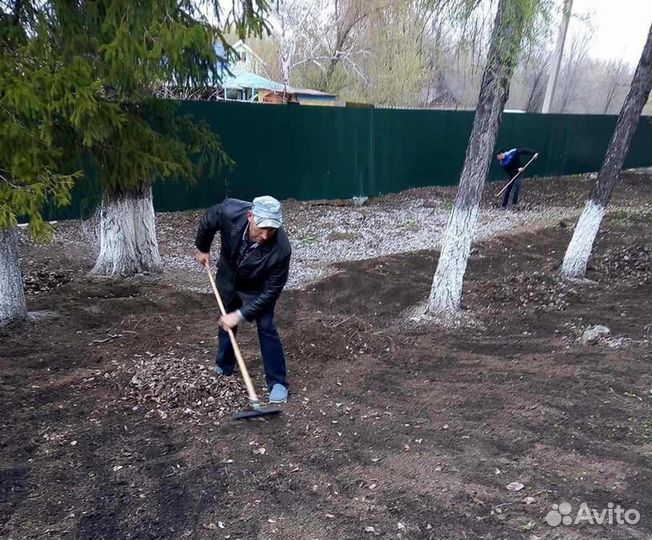 Услуги грузчиков разнорабочих