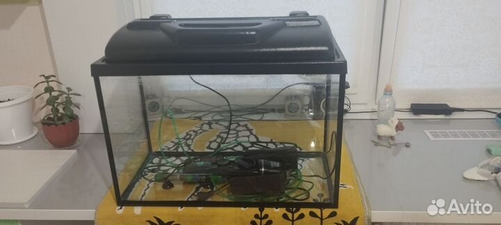 Аквариум