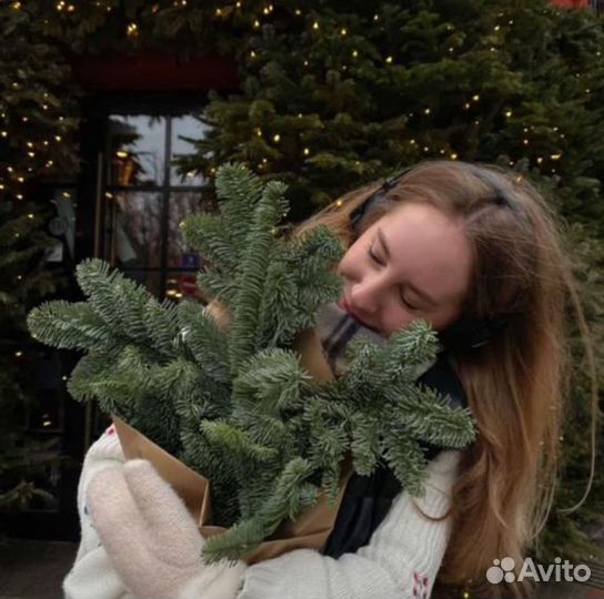 Экспресс фотосессия новогодняя