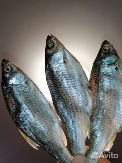 Рыба вяленая к пиву свежая плотва таранька