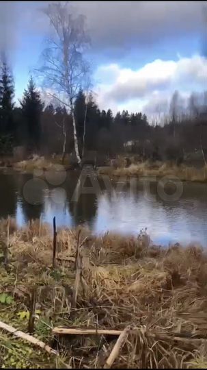 Участок 10,01 га (СНТ, ДНП)