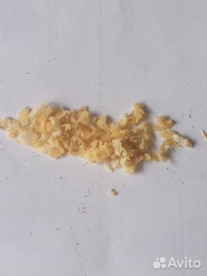 Чёрная львинка