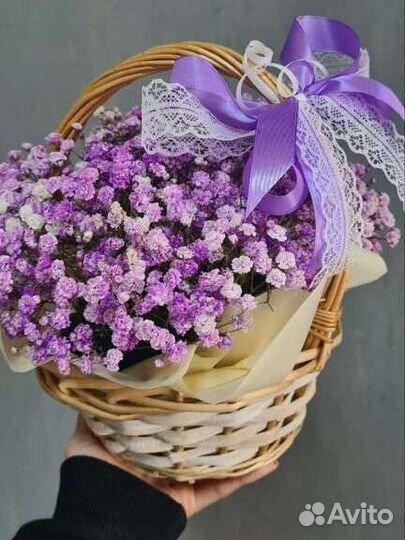 Гипсофила цветы