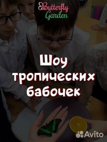 Уникальное выездное шоу бабочек