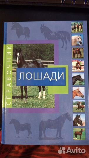 Справочник Лошади Альберто Сольди