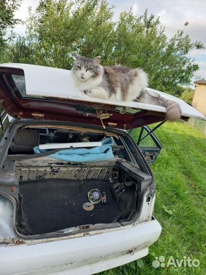 Fiat Типо 1989 год