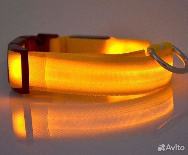 Светящийся ошейник
