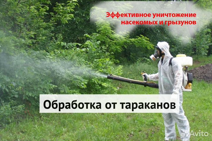 Уничтожение клопов тараканов грызунов блох клещей