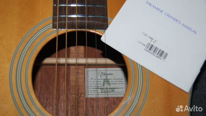 Takamine TSN-500, Japan. Массив. Видео