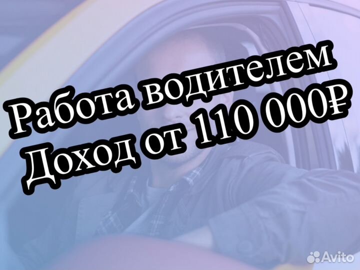 Водитель автомобиля